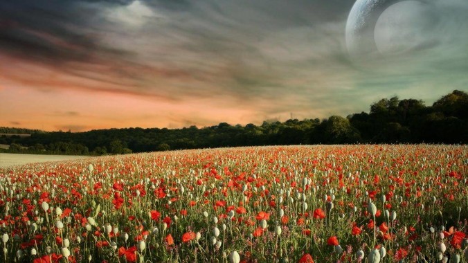 Vue性能优于React，那为什么还不用Vue？